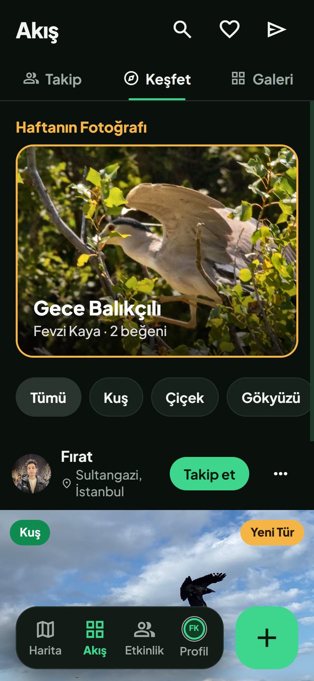 Doğa Haritası uygulaması: Haftanın Fotoğrafı ekranı